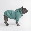 Spark Paws Dog Hoodie — Teal