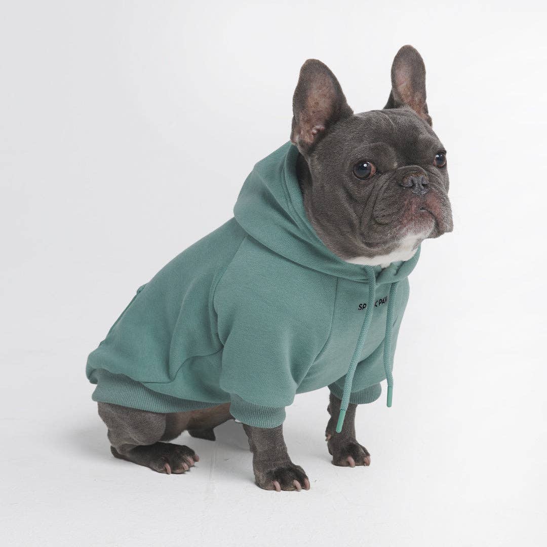 Spark Paws Dog Hoodie — Teal