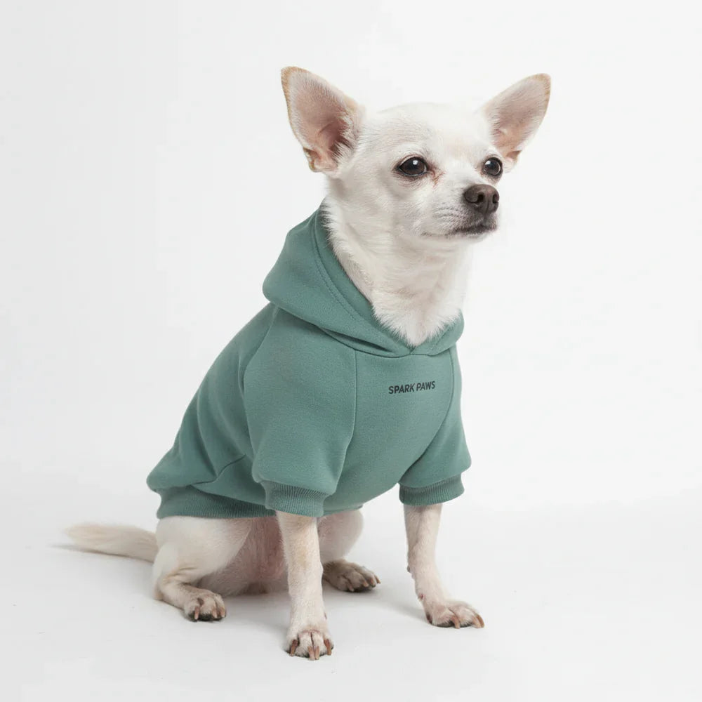 Spark Paws Dog Hoodie — Teal