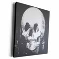 3dRose All Is Vanity - ghost, halloween, optical illusion,... - Museum Grade Canvas Wrap (cw_46711)