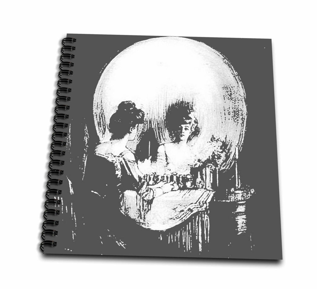 3dRose Taiche - Acrylic Painting - Skulls - All Is Vanity - ghost, halloween, optical illusion, paranormal, seasonal, silhouette, skeleton - Drawing Books (db_46711)