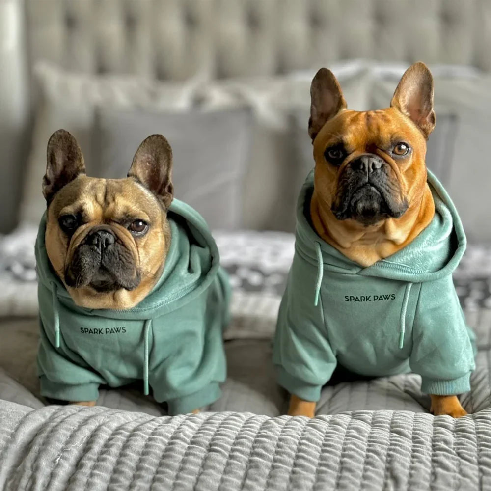 Spark Paws Dog Hoodie — Teal