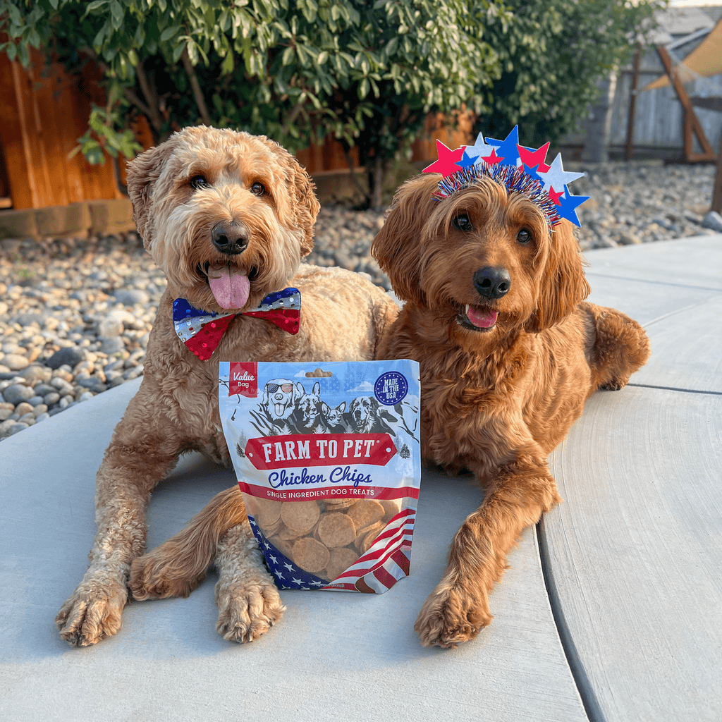 Farm to Pet Americana Chicken Chips