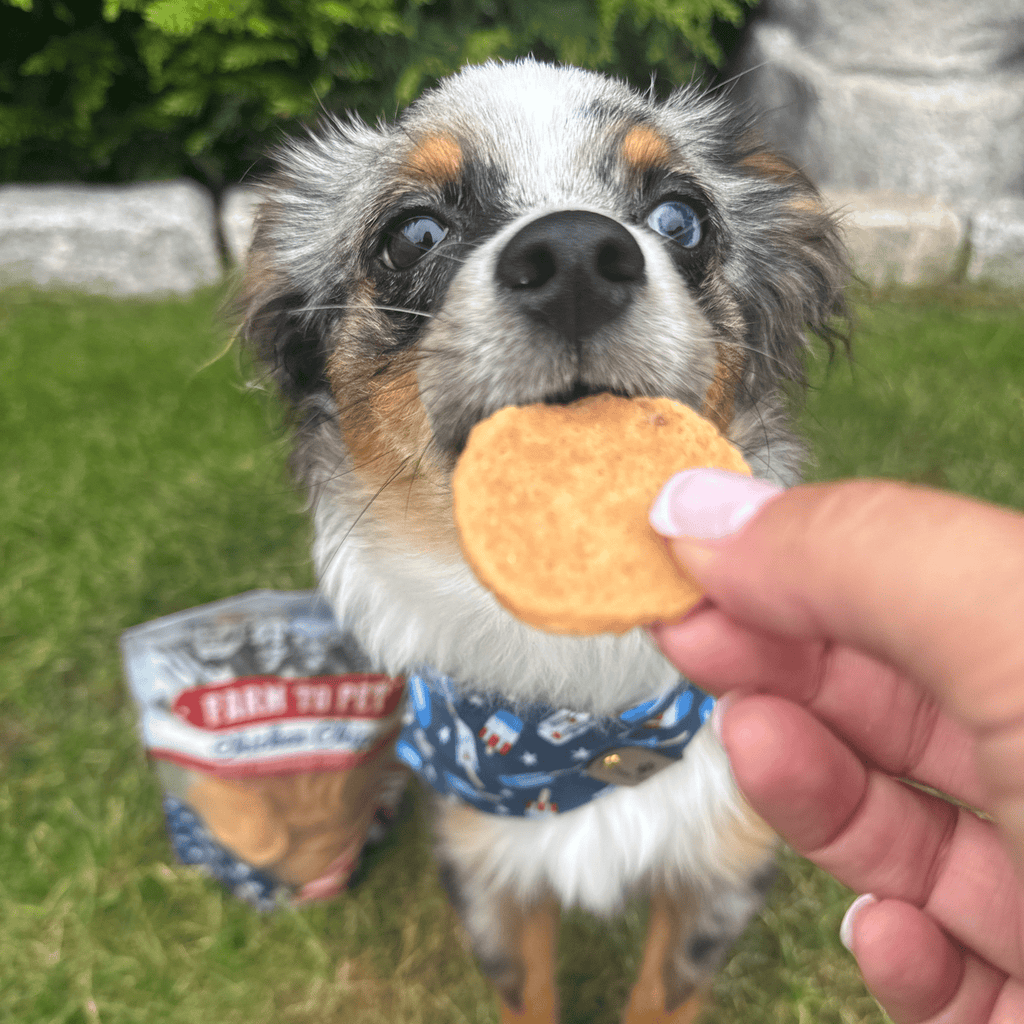 Farm to Pet Americana Chicken Chips