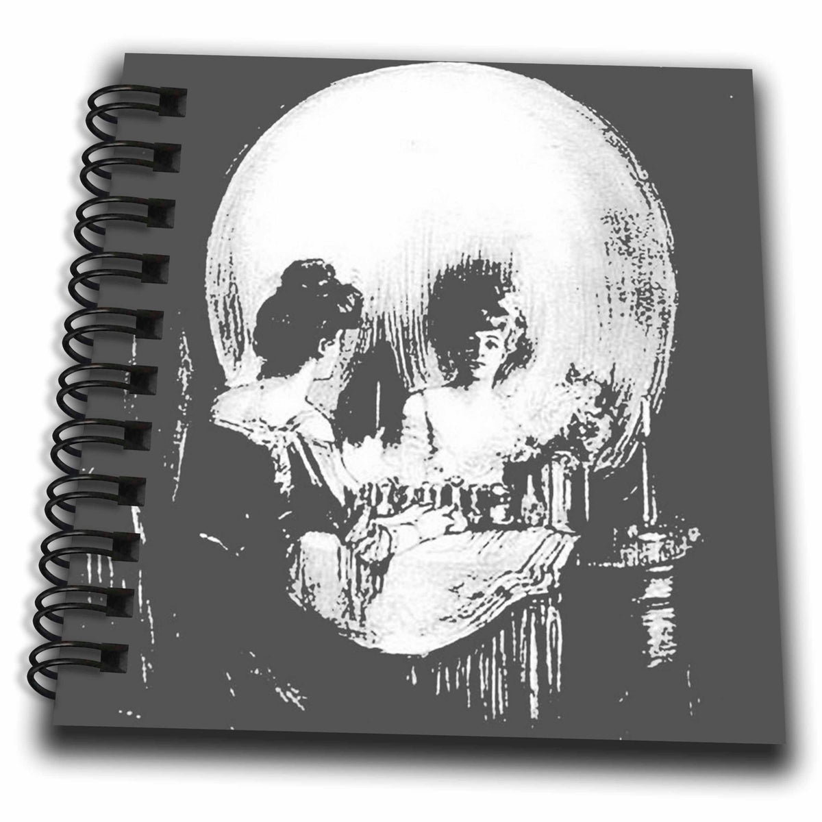 3dRose Taiche - Acrylic Painting - Skulls - All Is Vanity - ghost, halloween, optical illusion, paranormal, seasonal, silhouette, skeleton - Drawing Books (db_46711)