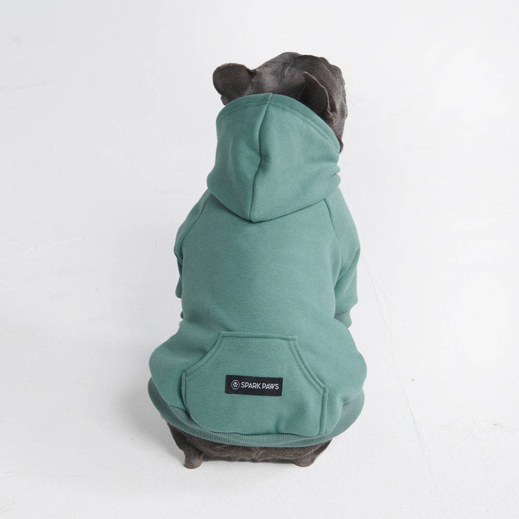 Spark Paws Dog Hoodie — Teal