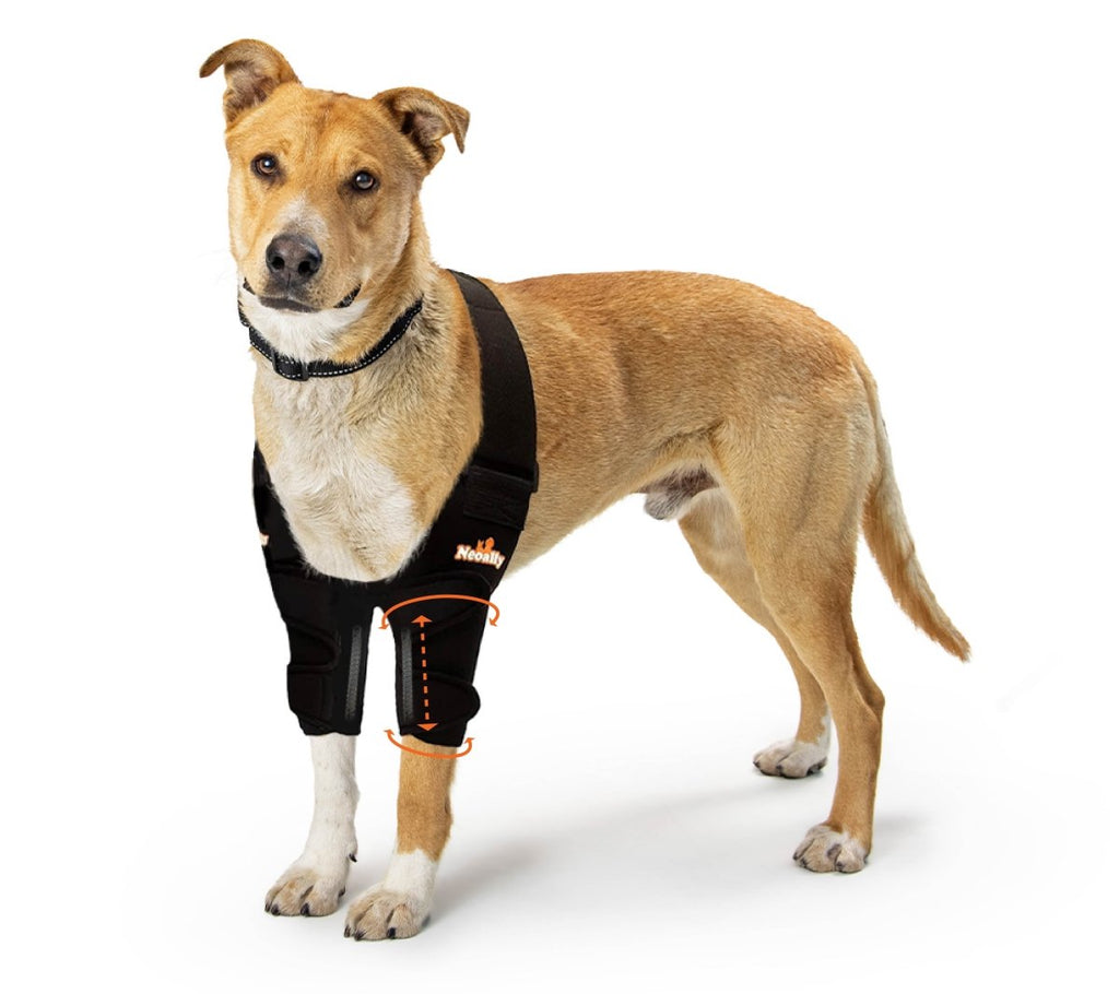 NeoAlly Pet Elbow & Shoulder Brace
