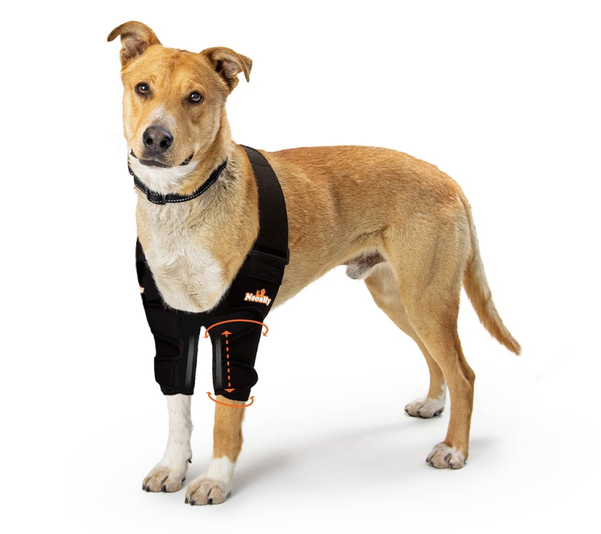 NeoAlly Pet Elbow & Shoulder Brace