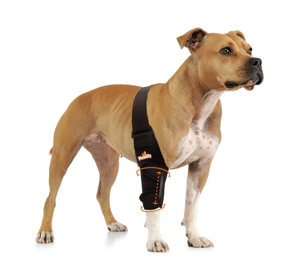 NeoAlly Pet Elbow & Shoulder Brace