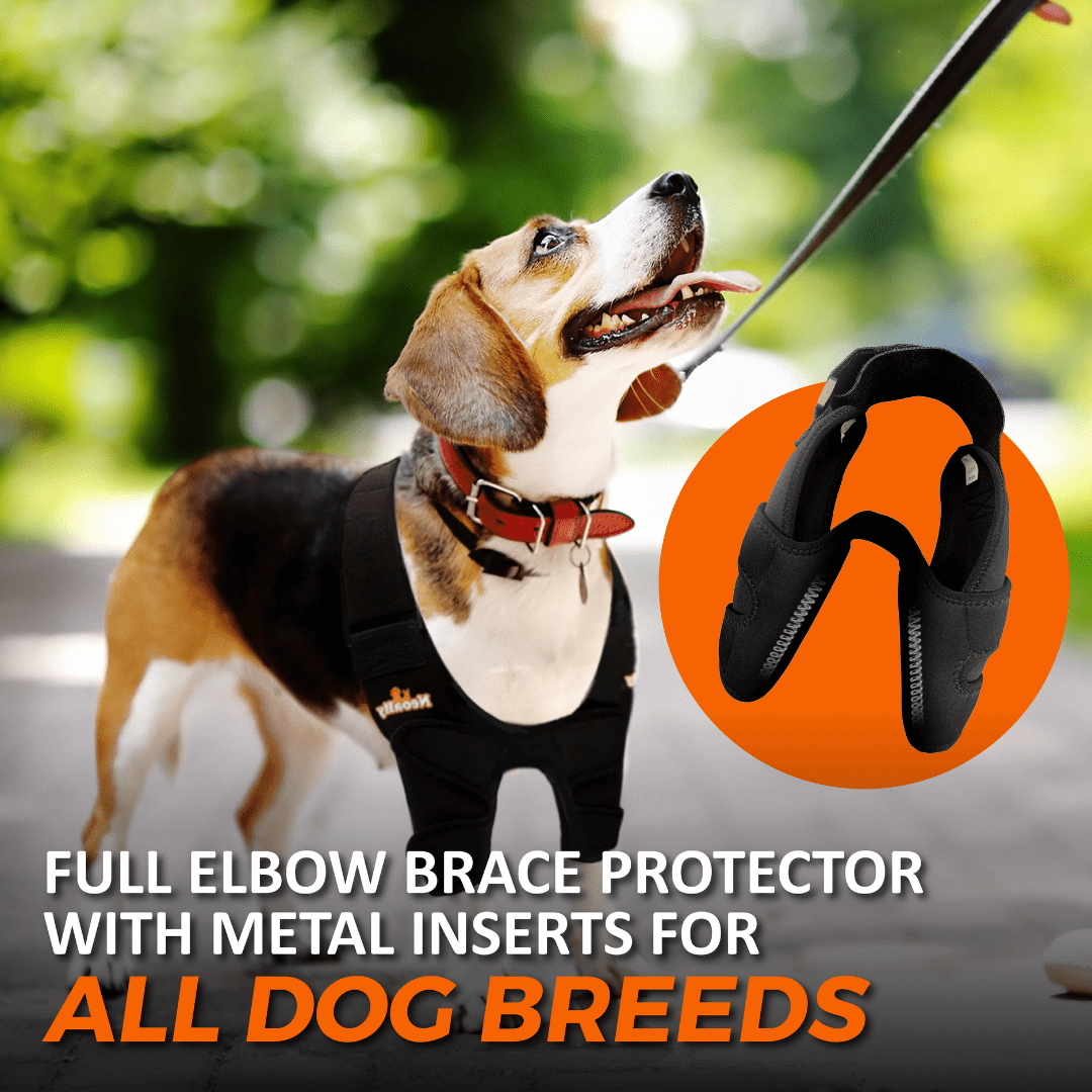 NeoAlly Pet Elbow & Shoulder Brace