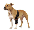 NeoAlly Pet Elbow & Shoulder Brace